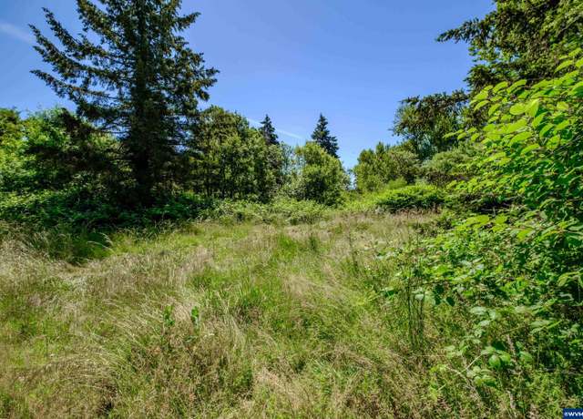 Property at Parcel 0259404 Long St, Sweet Home, OR 97386