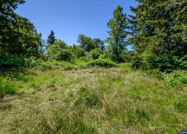 Property at Parcel 0259404 Long St, Sweet Home, OR 97386