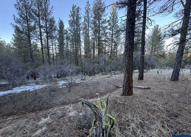 Property at Lot 7 Bobcat Cir, Beatty, OR 97621