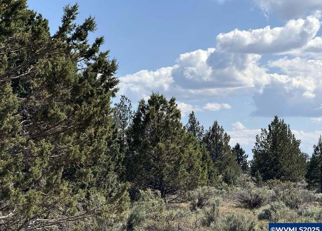 Property at TL 300 HWY 140 Hwy, Beatty, OR 97621