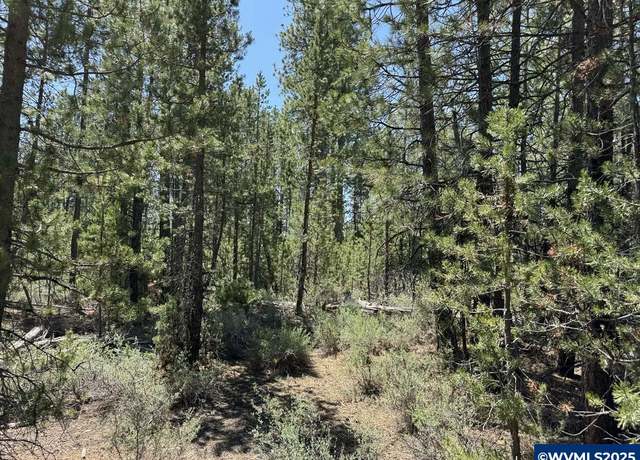 Property at TL 50 Gabriel Ct, Crescent Lake, OR 97733