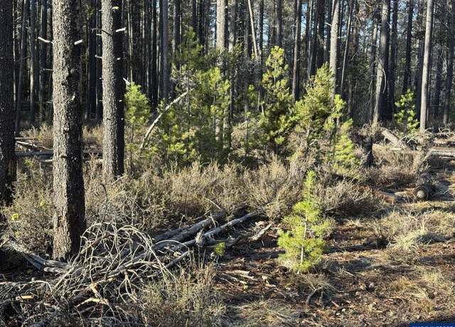 Property at L 6 Artesian Dr, Chiloquin, OR 97624