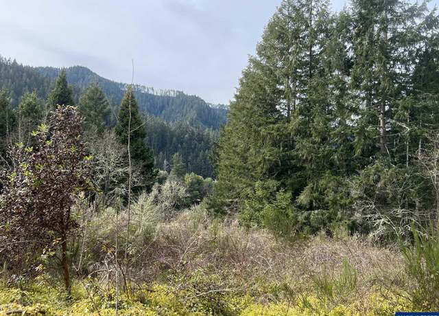Property at 2 Parcels HWY 138 Hwy W, Oakland, OR 97462