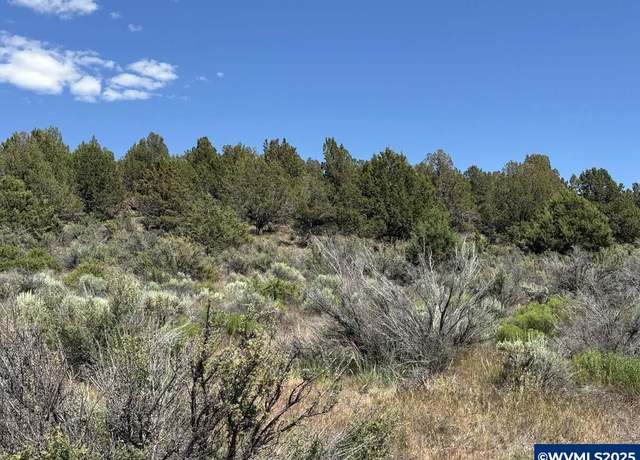Property at Lot 1 Medicine Mtn, Beatty, OR 97621