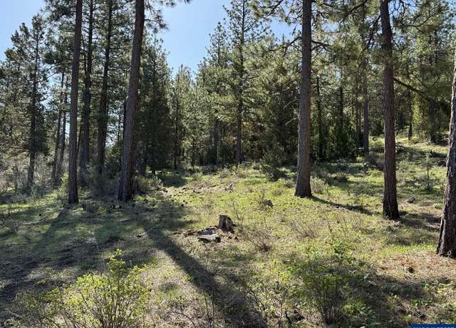 Property at TL 1300 Drews Gap Rd, Lakeview, OR 97630