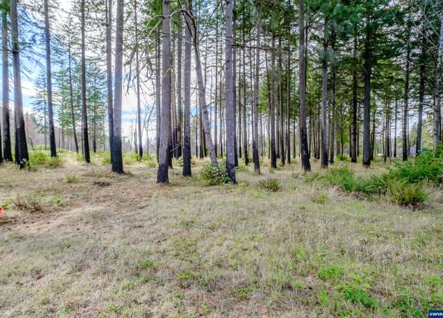 Property at 23488 Willa (next to) Ln SE, Lyons, OR 97358