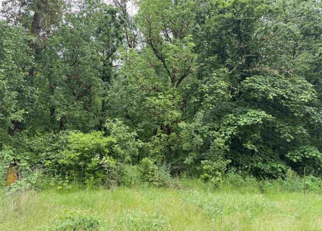 Property at TA 352602 off Goracke Rd, Monroe, OR 97456