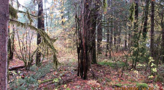 Photo of Parcel#0026282, Mountain Ave, Idanha, OR 97350