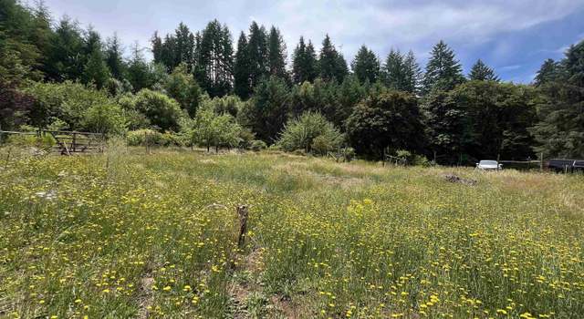 Photo of 28908 Lake Lyons Rd, Alsea, OR 97432