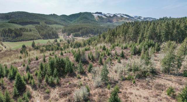 Photo of 00 Gooseneck Rd, Sheridan, OR 97378-0000