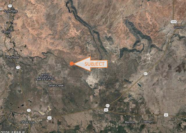 Property at 9349 Lazy O Ln Unit -, Show Low, AZ 85901