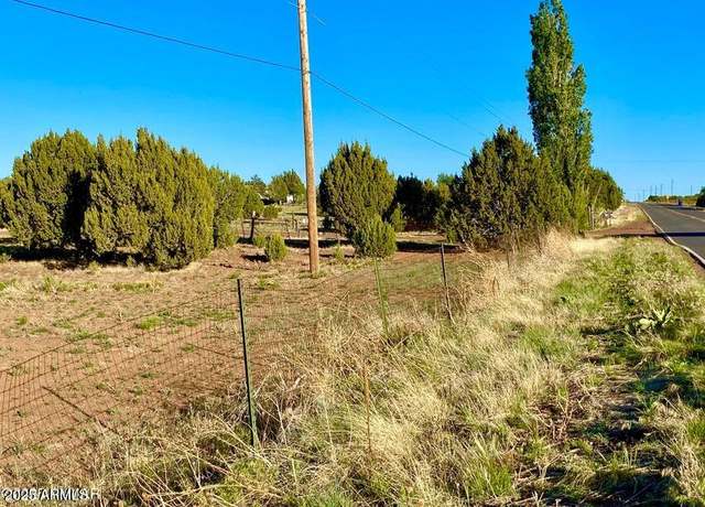 Property at 1377 Bourdon Ranch Rd #1, Show Low, AZ 85901