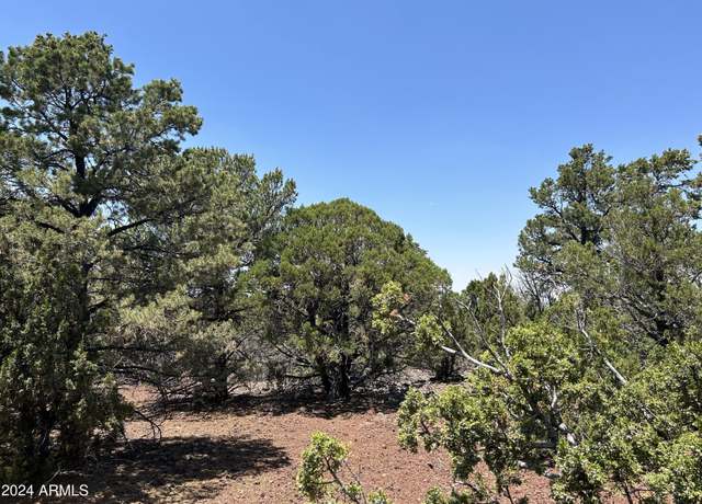 Property at lot 75 N Dolly Dr #75, Vernon, AZ 85940