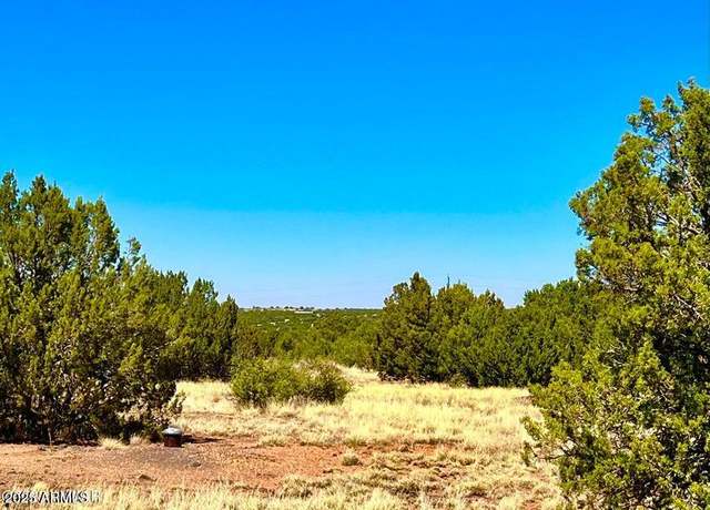Property at 8476 Alpine Pl Unit -, Show Low, AZ 85901