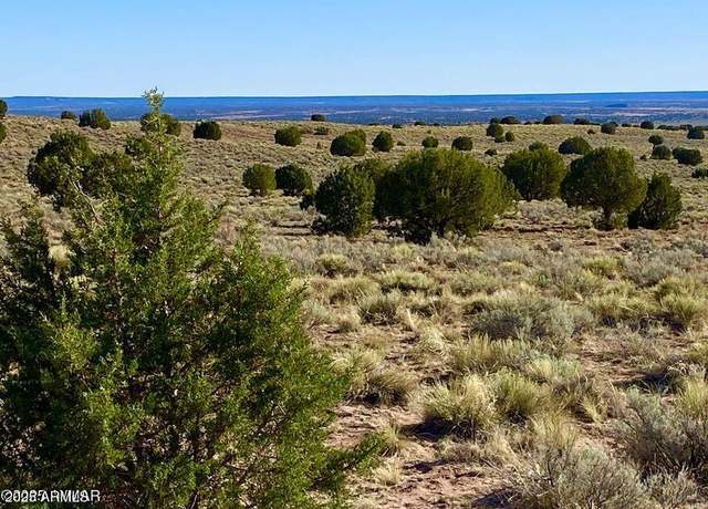 Property at River Meadows Ranch Unit 3 Lot 204 -- Unit -, Concho, AZ 85924