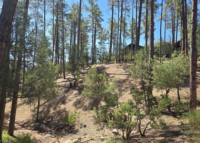 Property at 401 N Grapevine Dr #525, Payson, AZ 85541