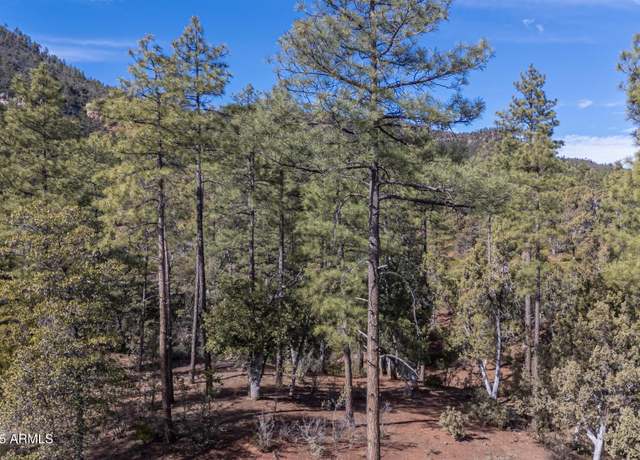 Property at Lot 19 Strawberry Hollow Dr #19, Pine, AZ 85544