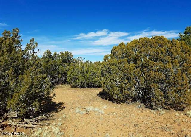 Property at 4 parcels N Shady Oak 404-69-005 /10+acres -- Unit C, D, E, F, Show Low, AZ 85901