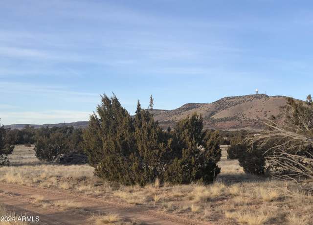 Property at 27787 W San Juan Ln #455, Seligman, AZ 86337