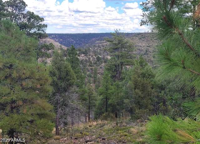 Property at 5089 Morning View Dr #5, Happy Jack, AZ 86024