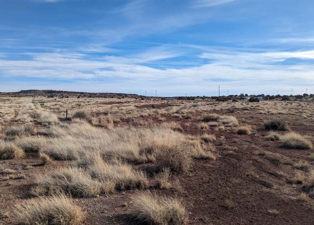 Property at 14 Acres County Road 6014 -- #234, St Johns, AZ 85936