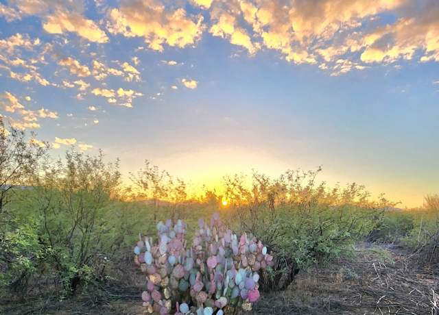 Property at 13122 W Dusty Flat Pl Unit -, Tucson, AZ 85735