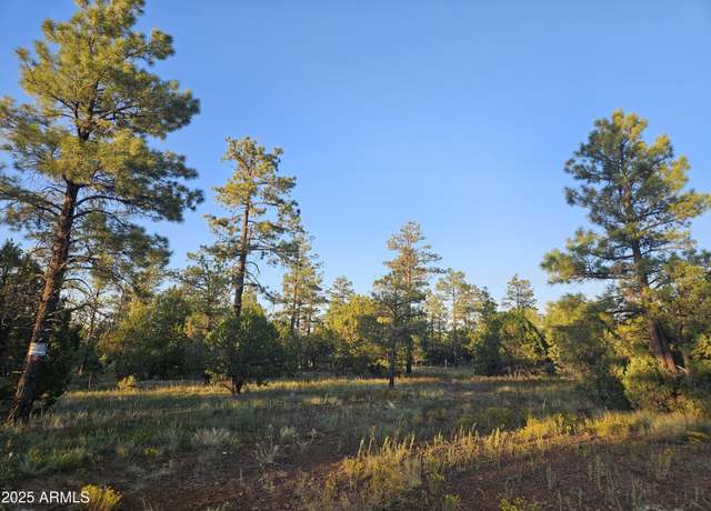 Property at 4843 W Bison Trl #41, Lakeside, AZ 85929