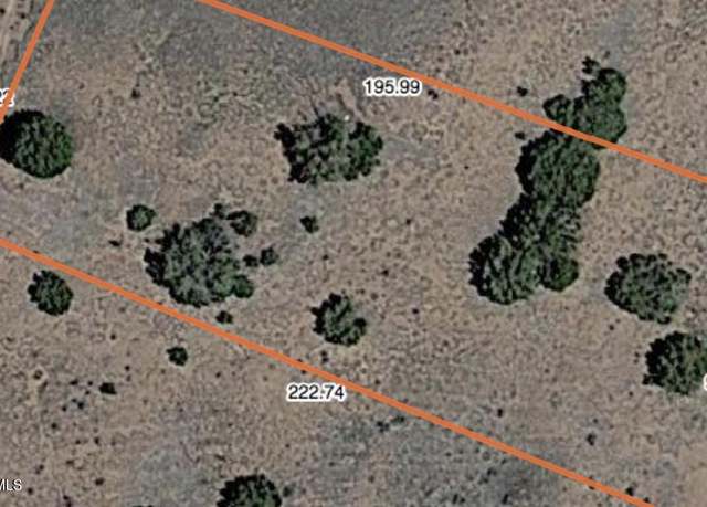 Property at 19 County Road 5204 -- #63, Concho, AZ 85924
