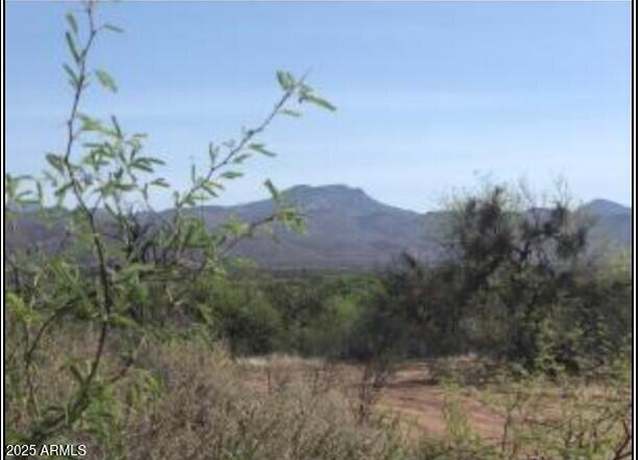 Property at 115E S Az-hwy 188 -- Unit -, Tonto Basin, AZ 85553