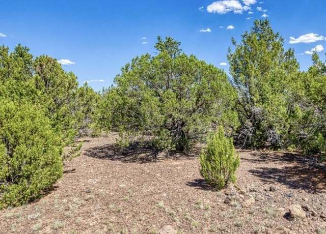 Property at 84 County Road N3133 Rd #85, Vernon, AZ 85940