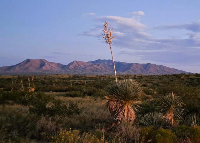 Property at TBD Adams Ranch Rd #03, Dragoon, AZ 85609