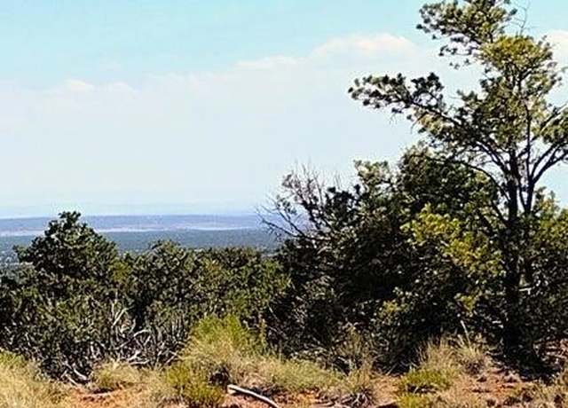 Property at 568 CR N7407 -- Unit -, St Johns, AZ 85936