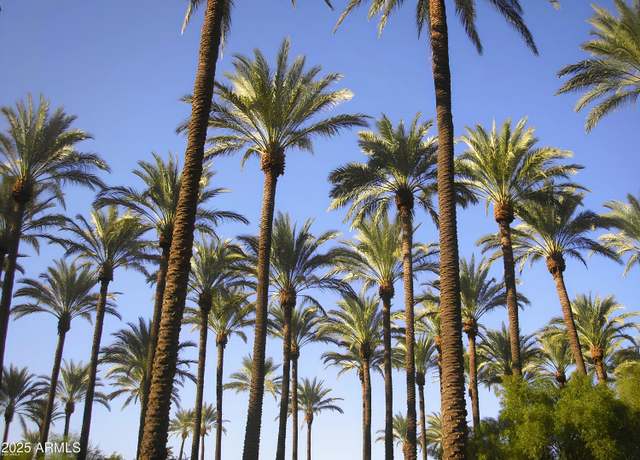 Property at 4540 N 44th St #41, Phoenix, AZ 85018, 1 bed, 1 bath