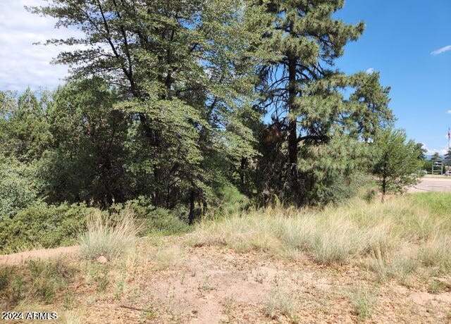 Property at 910 N Beeline Hwy #89, Payson, AZ 85541