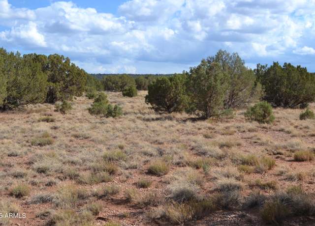 Property at 4161 Colt Rd #273, Snowflake, AZ 85937