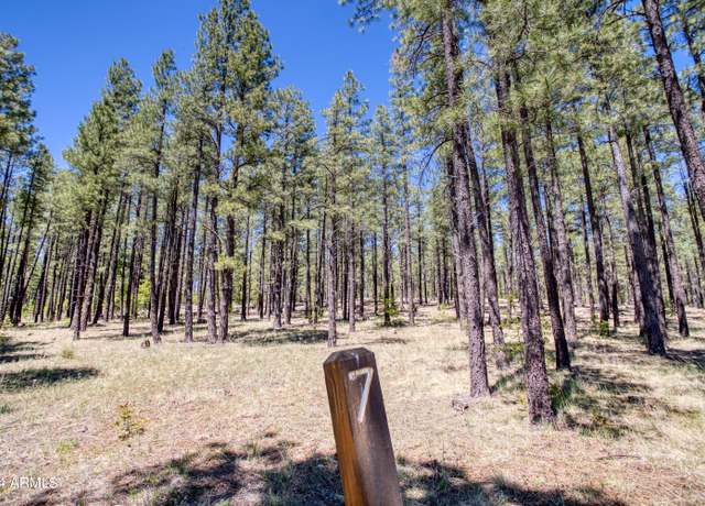 Property at 9586 Sierra Springs Way #7, Pinetop, AZ 85935