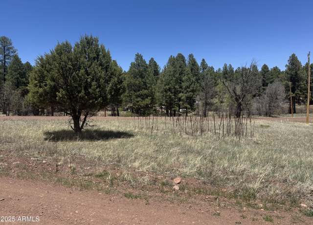 Property at 527 Summit Dr #196, Pinedale, AZ 85934