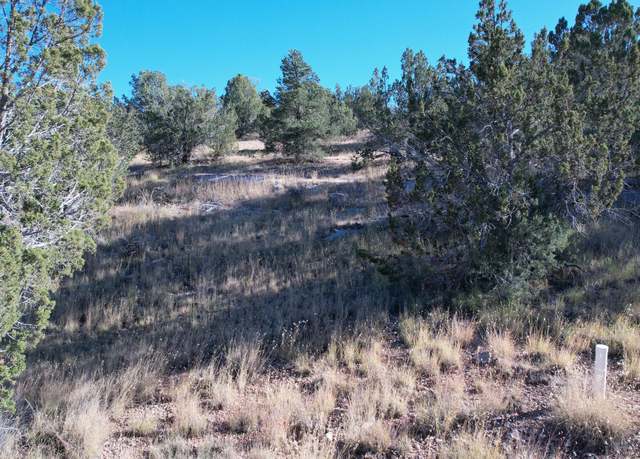 Property at 30863 W Basconia Rd #4315, Seligman, AZ 86337