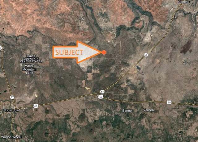 Property at 55 County Road N8060 -- Unit -, Concho, AZ 85924