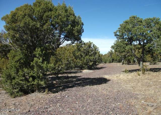 Property at 57 County Road N8060 -- Unit -, Concho, AZ 85924