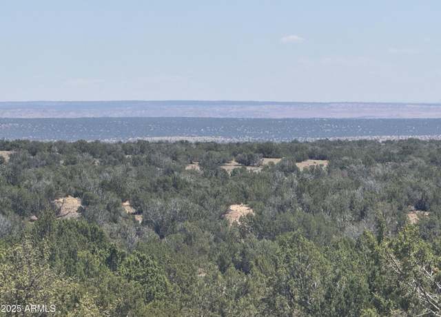 Property at Lot 120B Red Sky Ranch -- Unit 120B, St Johns, AZ 85936