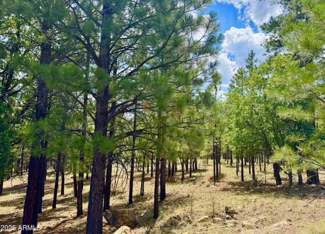 Property at 2684 Apache Dr #571, Happy Jack, AZ 86024