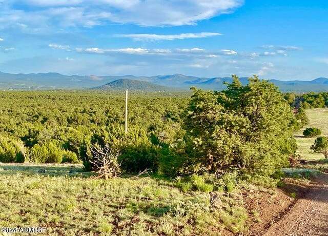 Property at 0 N3208 Lot C 9.81 Acres -- Unit C, Vernon, AZ 85940