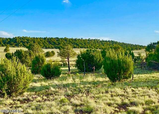 Property at 0 N3208 Lot D 9.81 Acres -- Unit D, Vernon, AZ 85940