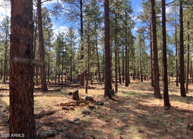 Property at 18 N County Road N1045 -- #103, Springerville, AZ 85938