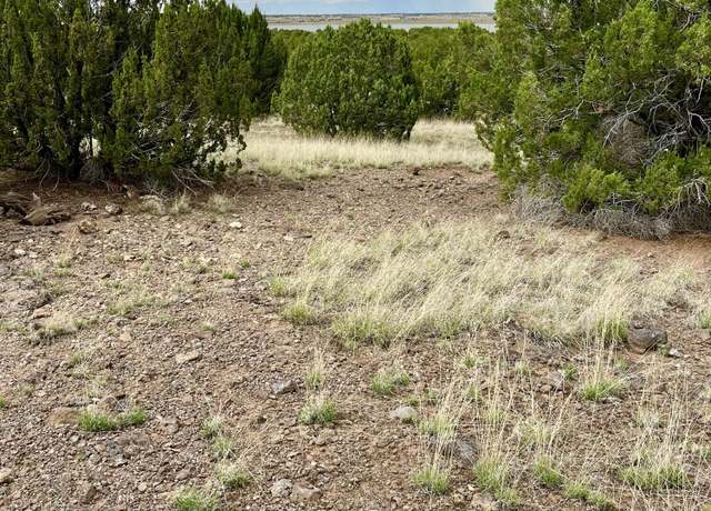 Property at TBD County Rd N3440 -- #42, Concho, AZ 85924