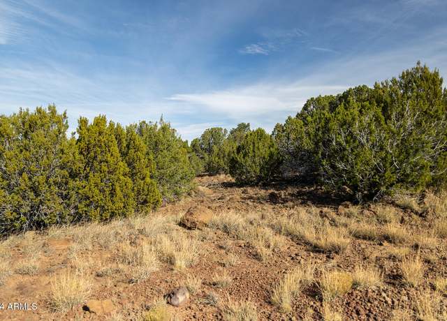 Property at 7 County Road 8111 -- #673, Concho, AZ 85924