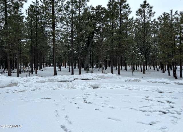 Property at 4382 Jack Pine Pl Unit -, Happy Jack, AZ 86024