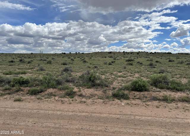 Property at TBD 40 Acres Carrizo Ranch -- #249, St Johns, AZ 85936