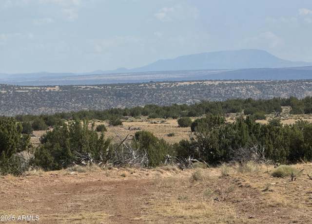 Property at Lot 545C Woodland Valley Ranch -- Unit 545C, St Johns, AZ 85936